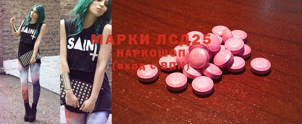 стаф Алзамай