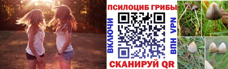 Галлюциногенные грибы мицелий  как найти закладки  Талица 